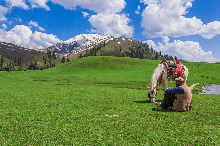 Siri Paye Meadows in Naran